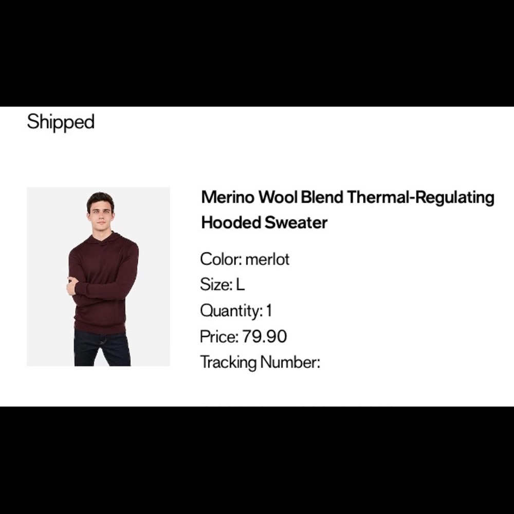 NWOT Men’s Wool Blend Hooded Sweater